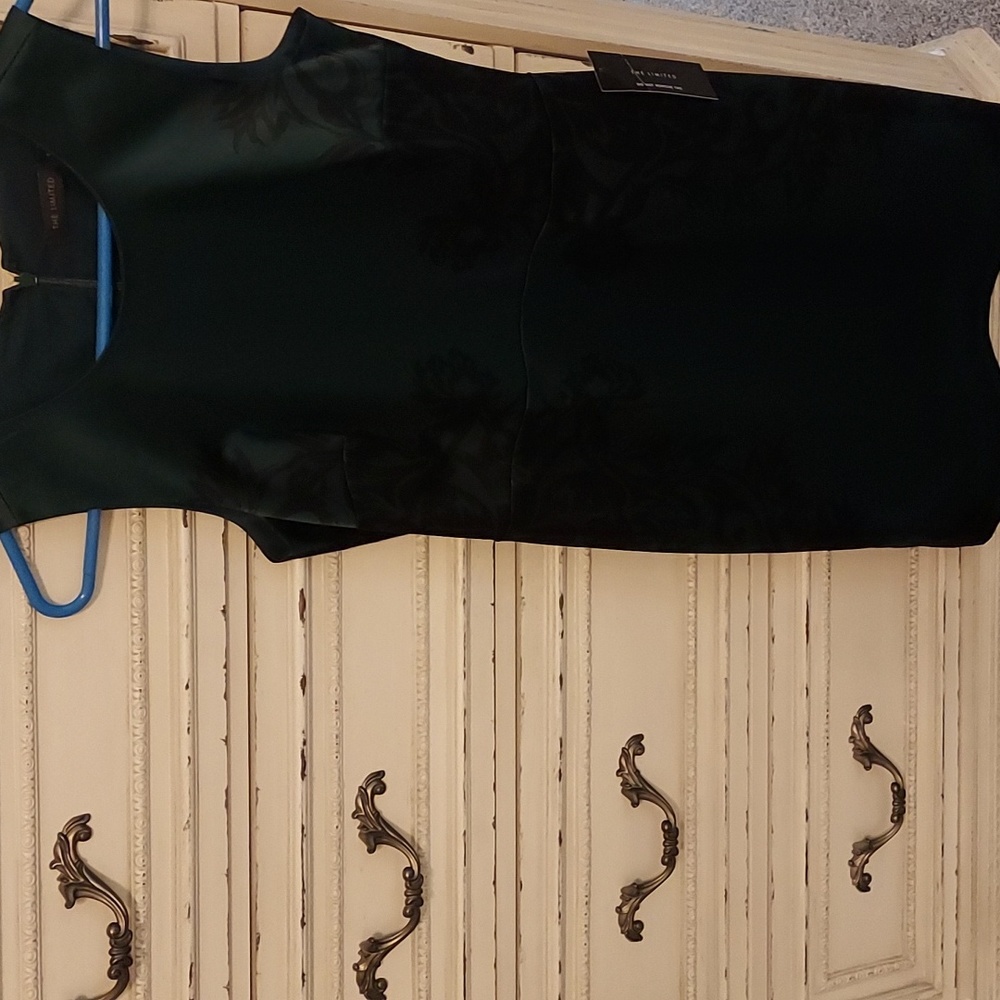 The Limited Dress size 4 NWT